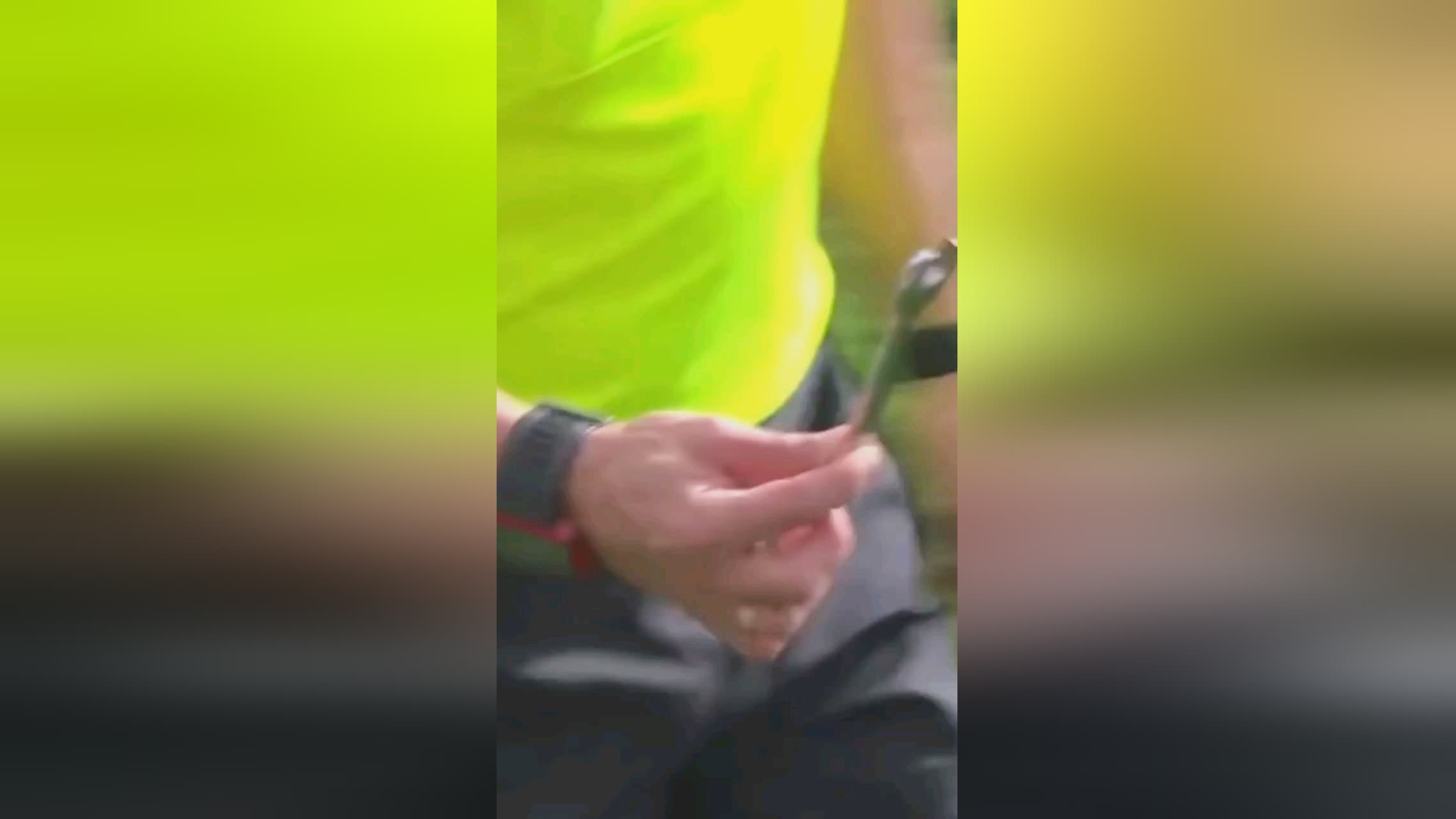 后通过引进